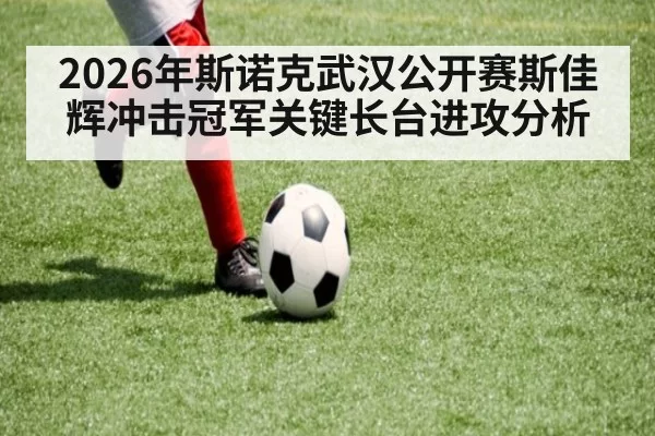 2026年斯诺克武汉公开赛斯佳辉冲击冠军关键长台进攻分析